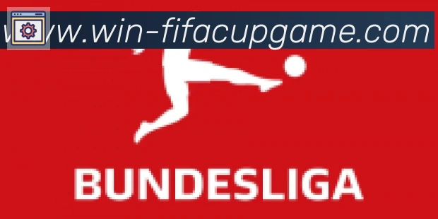 FIFA世界杯买球入口合作伙伴