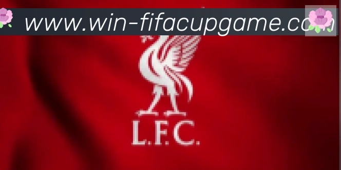 FIFA世界杯买球入口合作伙伴